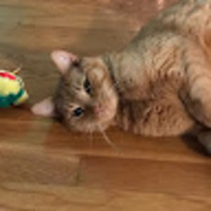 Meet your Posher, Kathy